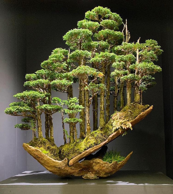 Khu rừng bonsai tí hon tuyệt đẹp đã thu hút rất nhiều người hâm mộ của Masahiko Kimura