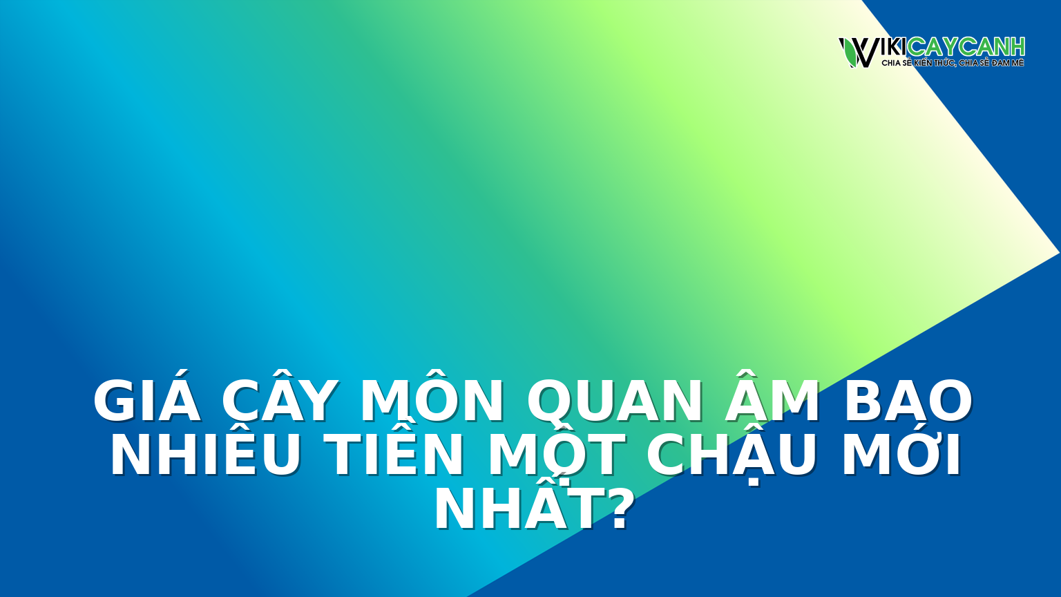 Hình ảnh minh họa cho Giá Cây Môn Quan Âm Bao Nhiêu Tiền Một Chậu Mới Nhất?