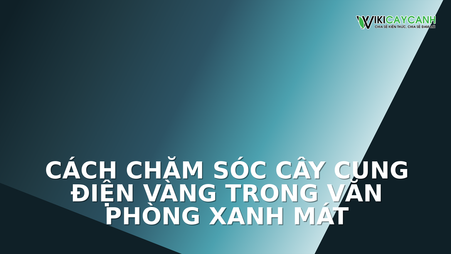 Hình ảnh minh họa cho Cách Chăm Sóc Cây Cung Điện Vàng Trong Văn Phòng Xanh Mát