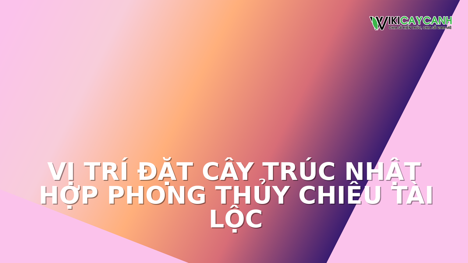 Hình ảnh minh họa cho Vị Trí Đặt Cây Trúc Nhật Hợp Phong Thủy Chiêu Tài Lộc