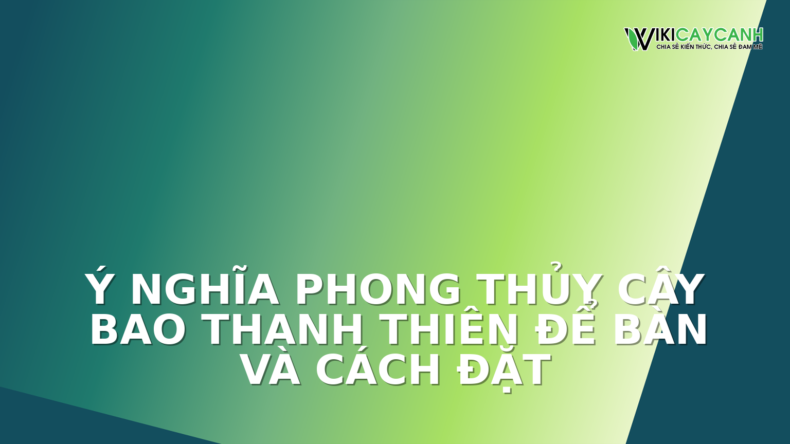 Hình ảnh minh họa cho Ý Nghĩa Phong Thủy Cây Bao Thanh Thiên Để Bàn Và Cách Đặt